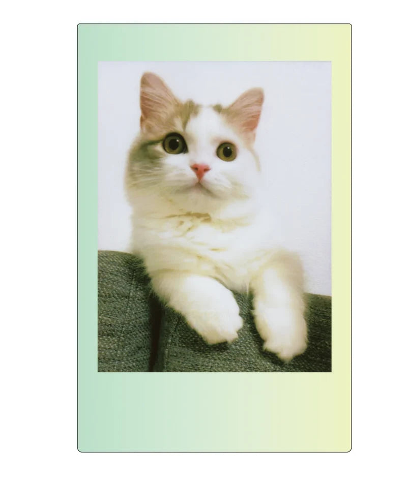 Instax Mini Macaron Film - 10 Sheets Per Pack
